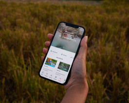 Compléments d'objets